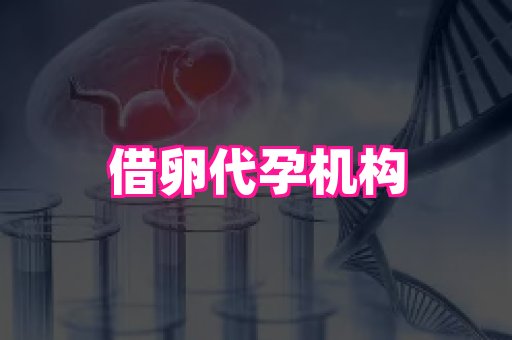 国际助孕网站 3
